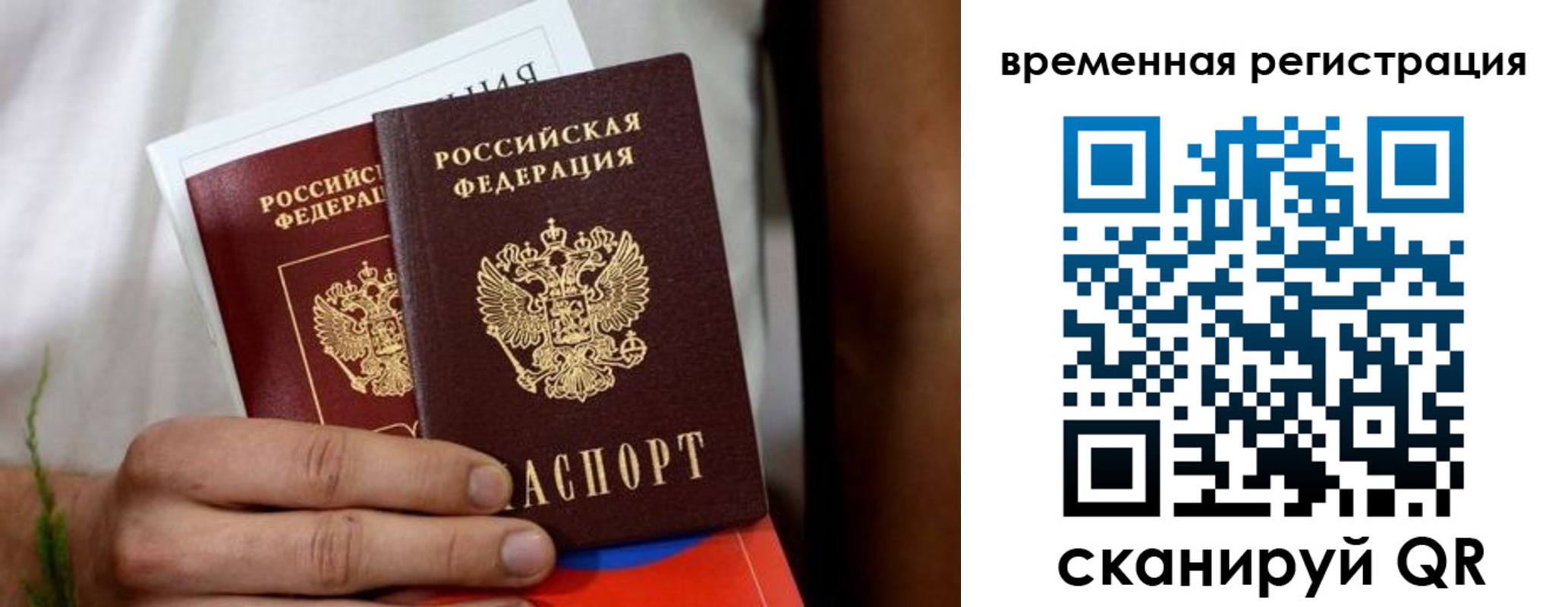 прописка паспорт в Сольцах